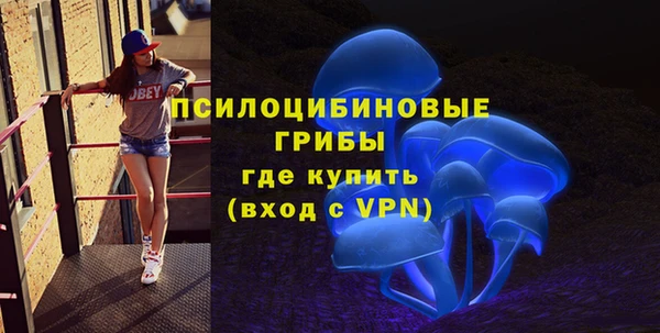 гидра Балахна
