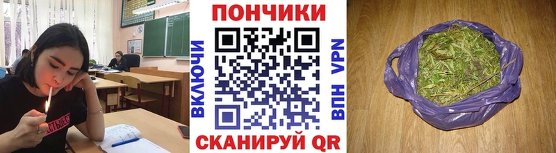 МАРИХУАНА индика  где купить   Гдов 
